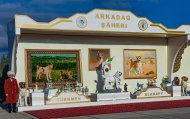 Day of the Devoted Friend: How the Celebration of Alabai was Marked in Turkmenistan