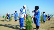 Photoreport: a nationwide tree planting campaign was held in Turkmenistan