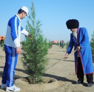 Photoreport: a nationwide tree planting campaign was held in Turkmenistan