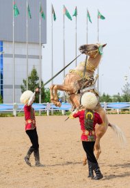 Фоторепортаж с международного конкурса красоты по случаю национального дня туркменского скакуна