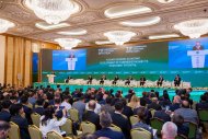 TIF-2024: Platform for international cooperation