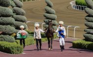 Festive races were held in Turkmenistan