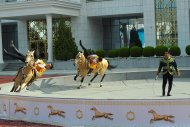 Solemn events in honor of the National holiday of the Turkmen horse were held in Ashgabat