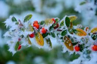 Фоторепортаж: Ашхабад покрылся белым снегом