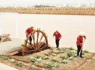 Фоторепортаж: В Туркменистане широко отметили праздник Новруз