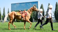 Фоторепортаж: В Туркменистане проходит конкурс красоты среди ахалтекинских скакунов