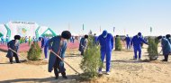 Photos: Tree planting campaign was held in Turkmenistan