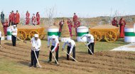 Photoreport: The National Spring Day - International Nowruz Day - was celebrated on a grand scale in Turkmenistan