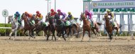 Festive races were held in Turkmenistan