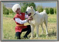 Фоторепортаж с выставки в честь Праздника туркменского алабая