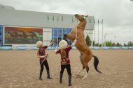 Ahal-Teke horse beauty contest was held in Turkmenistan