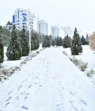 Photoreport: Ashgabat was covered with white snow