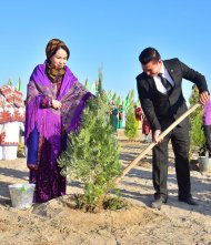 Photoreport: National tree celebrations held in Turkmenistan