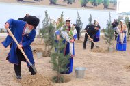 Türkmenistanda täze açylan Galkynyş şäherçesinden fotoreportaž