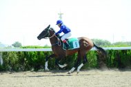 Photo report: Autumn horse racing season begins in Turkmenistan