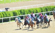 Photo report: Turkmenistan celebrates the National Horse of Turkmenistan on a grand scale