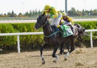 Festive races were held in Turkmenistan