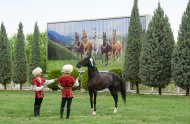 The second round of the Akhal-Teke horse beauty contest took place in Turkmenistan