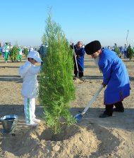 Photoreport: National tree celebrations held in Turkmenistan