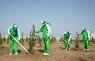 Photos: Tree planting campaign was held in Turkmenistan