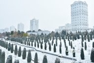 Photoreport: Ashgabat was covered with white snow