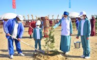 Photos: Tree planting campaign was held in Turkmenistan