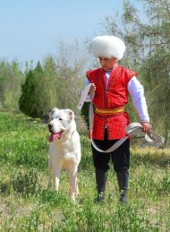 Ahal welaýatynda geçirilen «Ýylyň türkmen edermen alabaýy» atly halkara bäsleşiginden fotoreportaž