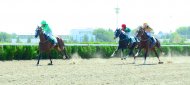 Photo report: Autumn horse racing season begins in Turkmenistan