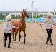 Türkmen bedewiniň milli baýramy mynasybetli geçirilýän halkara gözellik bäsleşiginden fotoreportaž