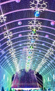 Photo story: The main Christmas tree of the country lit up in Turkmenistan