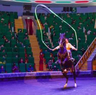 The State Circus of Turkmenistan hosted a performance in honor of the national holiday of the Turkmen horse