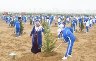 Fotoreportaž: Türkmenistanda 1 million 600 müň düýpden gowrak bag ekildi