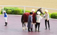 Photoreport from the celebrations organized at the international Akhal-Teke equestrian sports complex on the occasion of the national day of the Turkmen horse