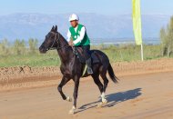 Photoreport: An equestrian race was held in Turkmenistan in honor of the National holiday of the Turkmen horse.