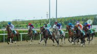 Photo report: Festive horse racing in honor of Independence Day was held in Turkmenistan