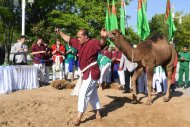 Photo report: National holiday of Turkmen horse 2019