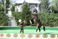 Photo report: National holiday of Turkmen horse 2019