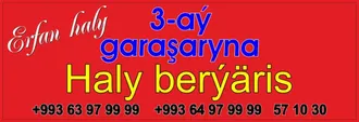 Erfan haly