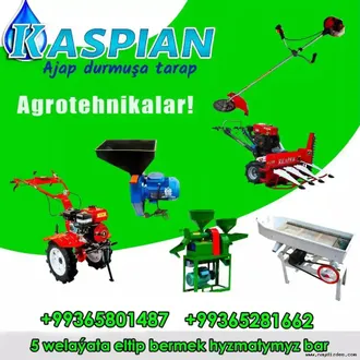 KASPIAN Nasos, Agrotehnika