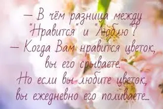 АГЕНТСТВО ПЕРЕВОДОВ, БЮРО ПЕРЕВОДОВ, ПУНКТ ПЕРЕВОДОВ, ЦЕНТР ПЕРЕВОДОВ, ... ПЕРЕКРЁСТОК ПЕРЕВОДОВ