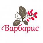 Барбарис