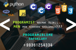 Programirleme okuwlary