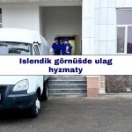 Päk service -Islendik görnüšde ulag hyzmaty