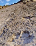 The plateau of dinosaurs in Turkmenistan